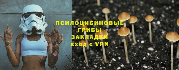 ПСИЛОЦИБИНОВЫЕ ГРИБЫ Абинск
