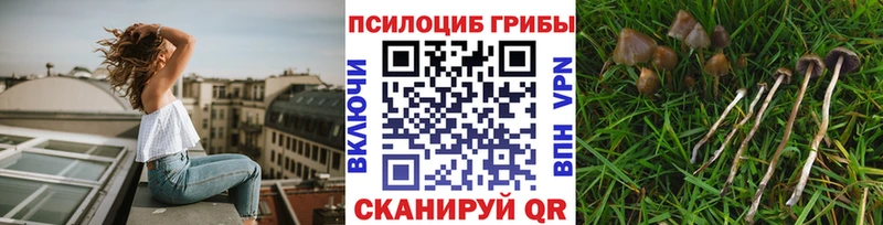 МЕГА онион  Донецк  Псилоцибиновые грибы Psilocybe  закладка 
